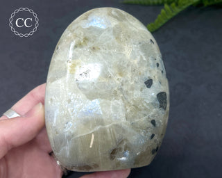 Garnierite | Green Moonstone Freeform #1