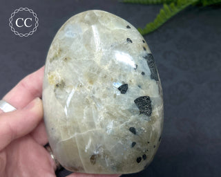 Garnierite | Green Moonstone Freeform #1