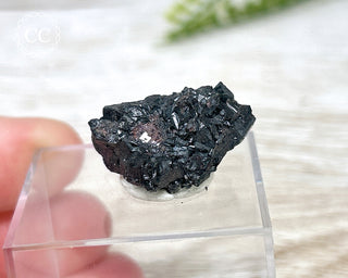 Gaudefroyite Specimen #1