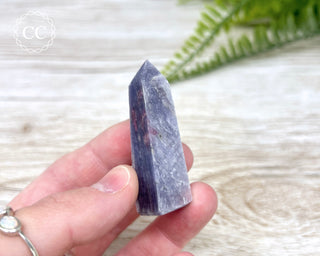Gem Unicorn Stone (Lepidolite & Pink Tourmaline) Tower #12