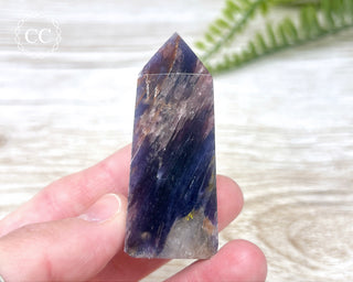 Gem Unicorn Stone (Lepidolite & Pink Tourmaline) Tower #15