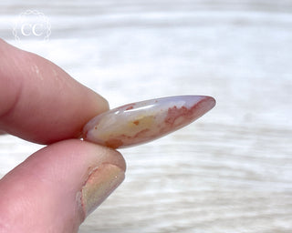 Gobi Agate Cabochon #14