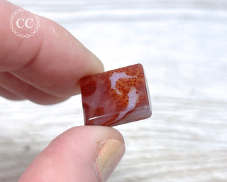Gobi Agate Cabochon #15