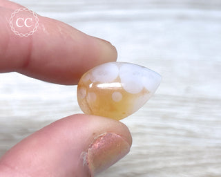 Gobi Agate Cabochon #3