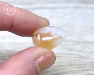 Gobi Agate Cabochon #3