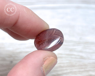 Gobi Agate Cabochon #4