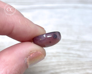 Gobi Agate Cabochon #4