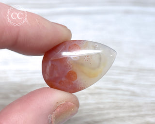 Gobi Agate Cabochon #5