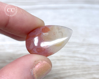 Gobi Agate Cabochon #5