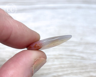 Gobi Agate Cabochon #5