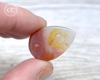 Gobi Agate Cabochon #5