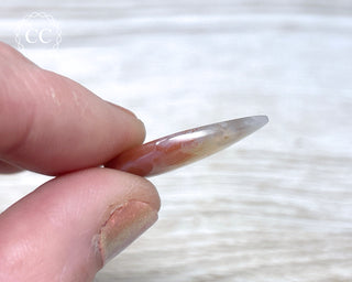 Gobi Agate Cabochon #5