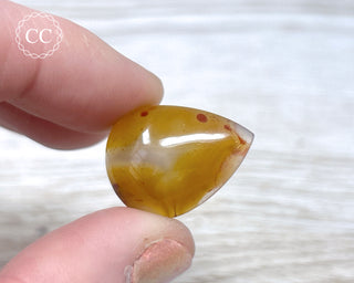 Gobi Agate Cabochon #6