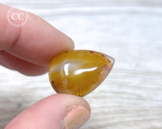Gobi Agate Cabochon #6