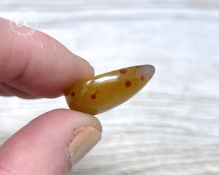 Gobi Agate Cabochon #6