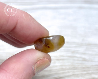 Gobi Agate Cabochon #6