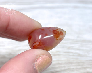 Gobi Agate Cabochon #8