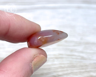 Gobi Agate Cabochon #8