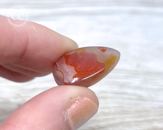 Gobi Agate Cabochon #8