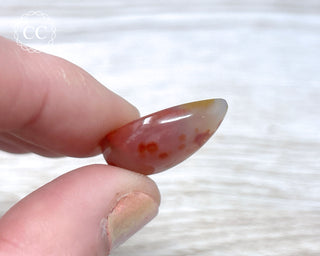 Gobi Agate Cabochon #8