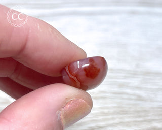 Gobi Agate Cabochon #8