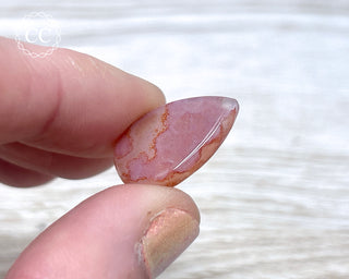 Gobi Agate Cabochon #9