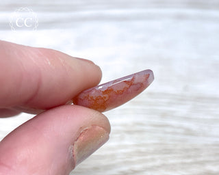 Gobi Agate Cabochon #9