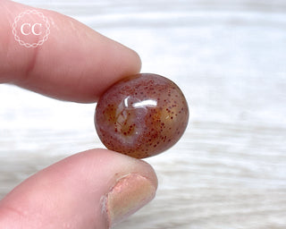 Gobi Agate Cabochon #11