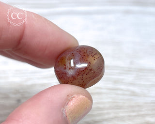 Gobi Agate Cabochon #11