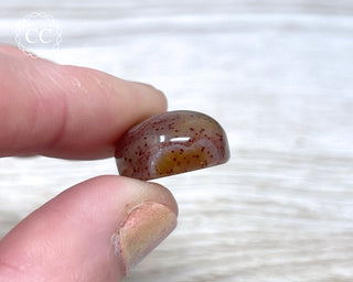 Gobi Agate Cabochon #11