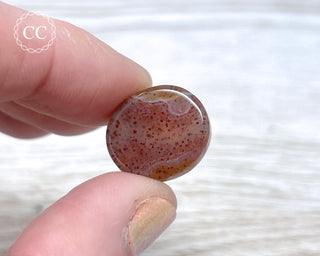 Gobi Agate Cabochon #11