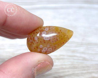 Gobi Agate Cabochon #12