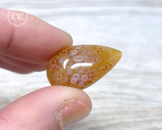 Gobi Agate Cabochon #12