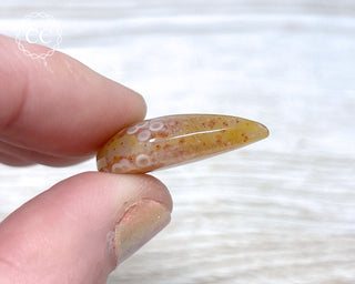 Gobi Agate Cabochon #12