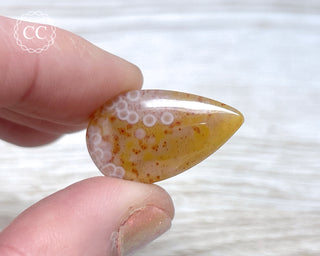 Gobi Agate Cabochon #12