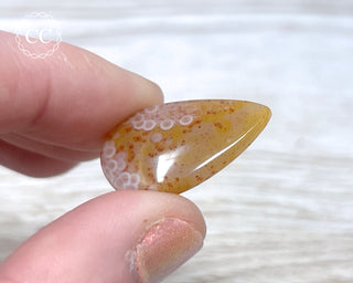 Gobi Agate Cabochon #12