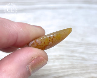 Gobi Agate Cabochon #12