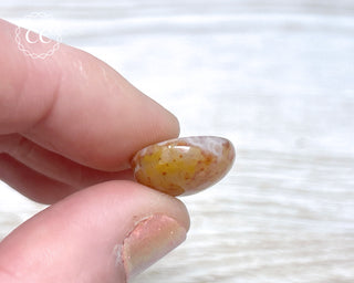 Gobi Agate Cabochon #12