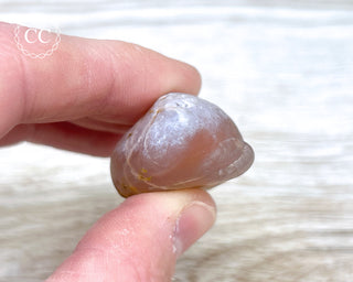 Gobi Agate with Sand Inclusion #3