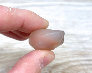 Gobi Agate with Sand Inclusion #4