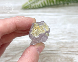 Goboboseb (Brandberg) Amethyst #1