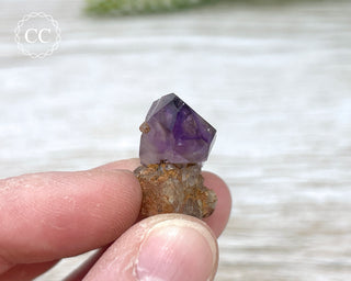 Goboboseb (Brandberg) Amethyst #7