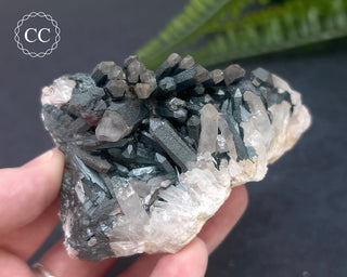Goethite 'Turgite' on Quartz #3