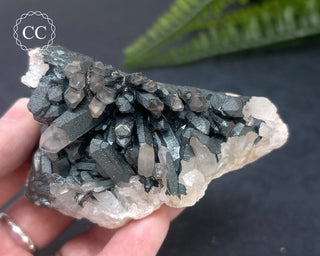 Goethite 'Turgite' on Quartz #3