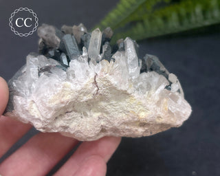 Goethite 'Turgite' on Quartz #3