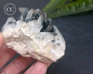 Goethite 'Turgite' on Quartz #3