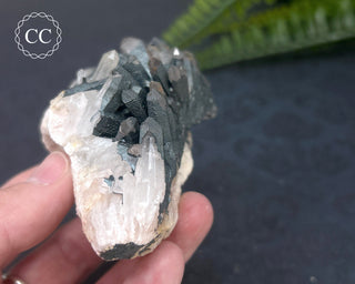 Goethite 'Turgite' on Quartz #3
