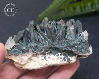 Goethite 'Turgite' on Quartz #3