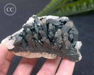 Goethite 'Turgite' on Quartz #3