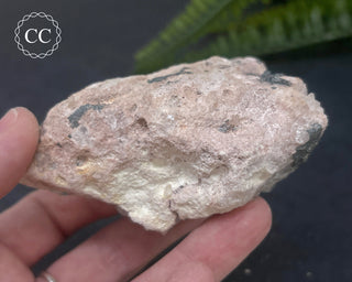 Goethite 'Turgite' on Quartz #3